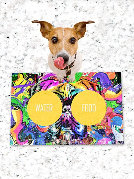 PatiPeti Kedi Tuvaleti, Aksesuarları