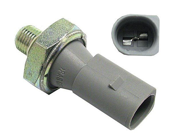 Febi Müşürler (Yağ Müşürleri)