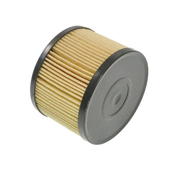 Purflux Yakıt Filtreleri