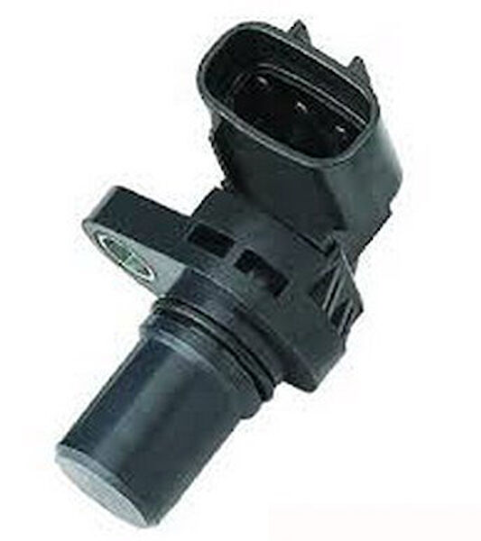 Reiner Eksantrik Sensörü