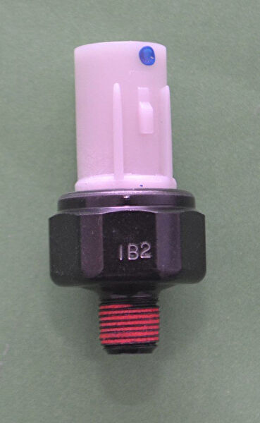 Facet Müşürler (Yağ Müşürleri)