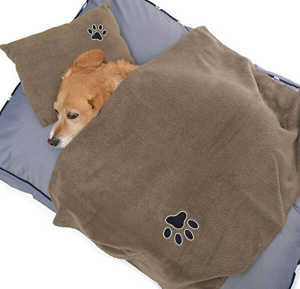 Petza Köpek Yatağı