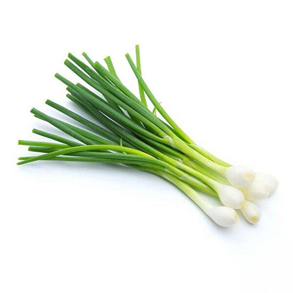 Berke Fidancılık Tohum