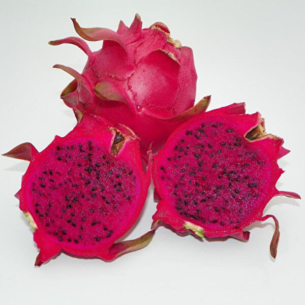 Berke Fidancılık Fidan