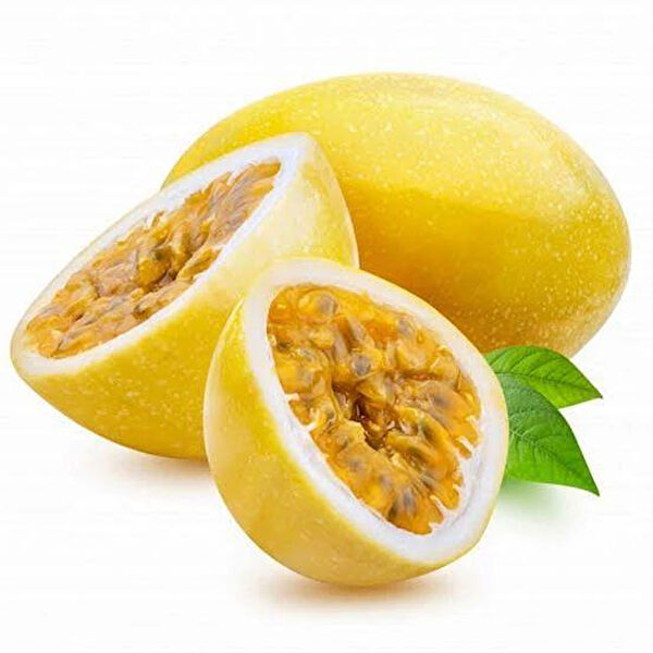 Berke Fidancılık Fidan