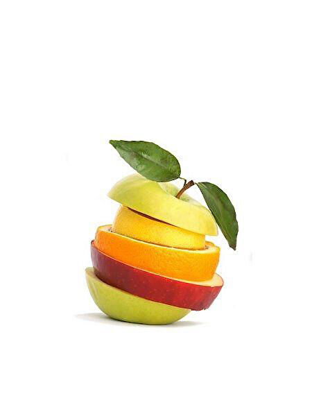 Berke Fidancılık Fidan