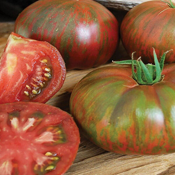 Berke Fidancılık Tohum