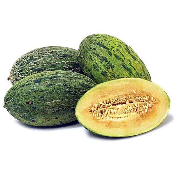 Berke Fidancılık Tohum