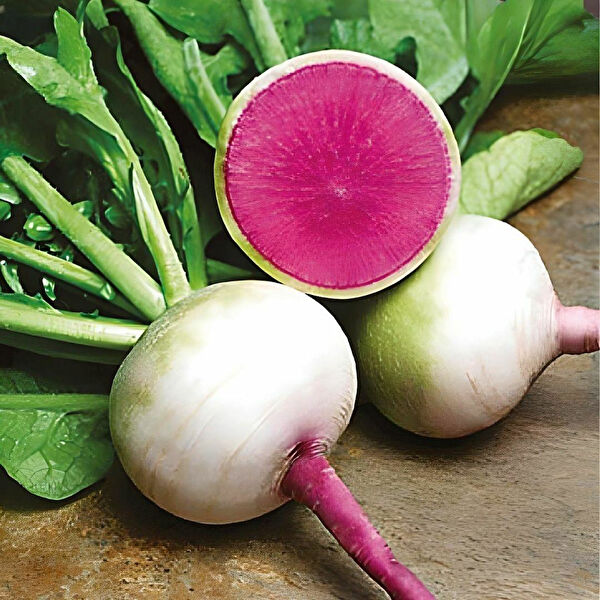 Berke Fidancılık Tohum