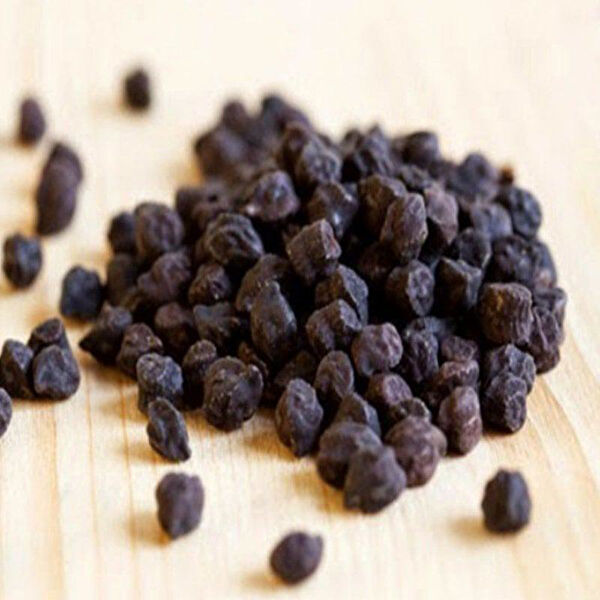 Berke Fidancılık Tohum