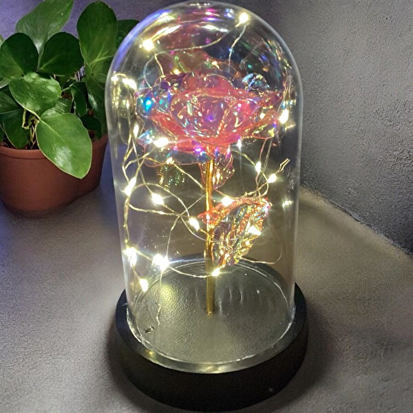 Brokoli Home Hediyelik Ürün