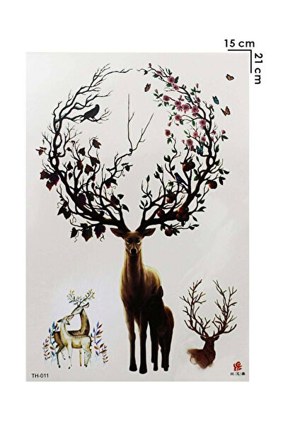 Barly Geçici Dövme, Şablonları