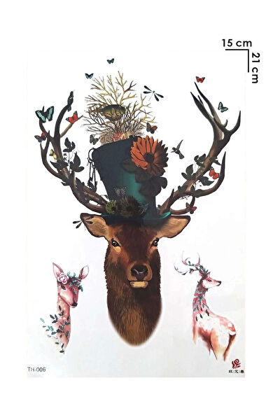 Barly Geçici Dövme, Şablonları