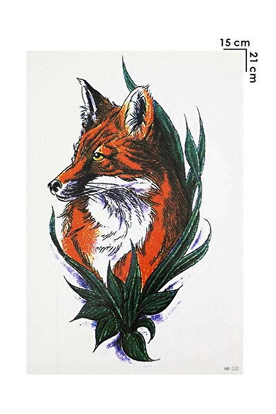 Barly Geçici Dövme, Şablonları