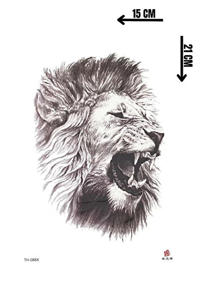 Barly Geçici Dövme, Şablonları