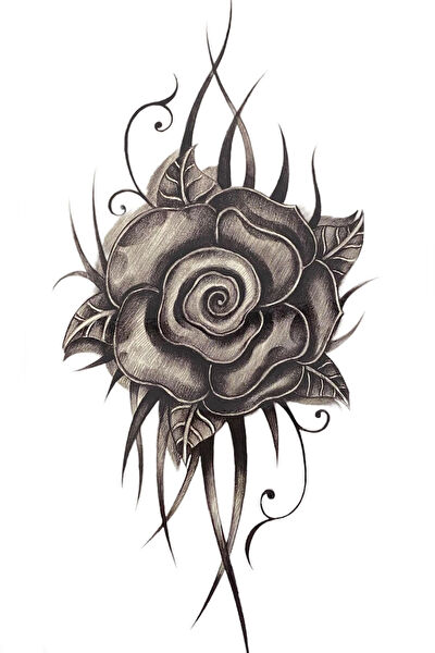 Barly Geçici Dövme, Şablonları