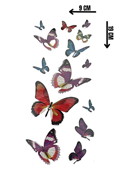 Barly Geçici Dövme, Şablonları