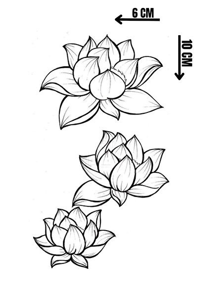 Barly Geçici Dövme, Şablonları