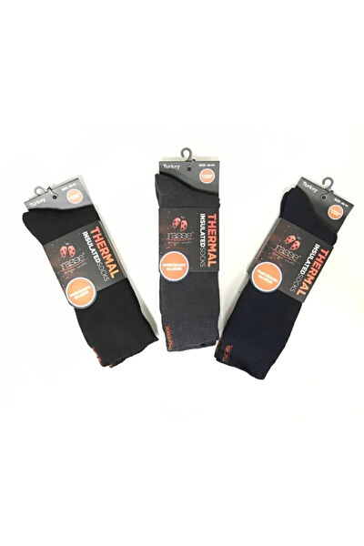 Rasse Erkek Çorap