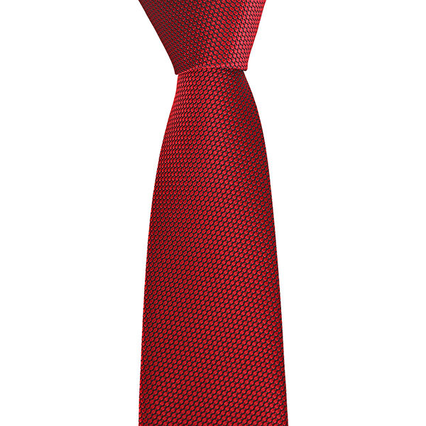 BRİANZE Kravat, Papyon