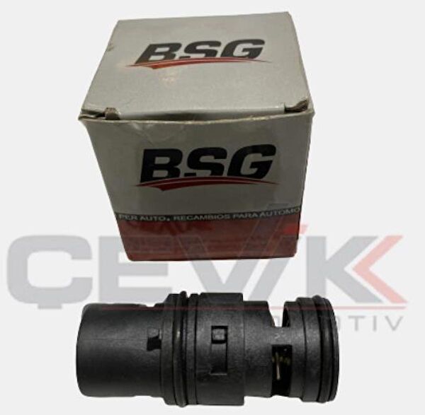 BSG Termostat