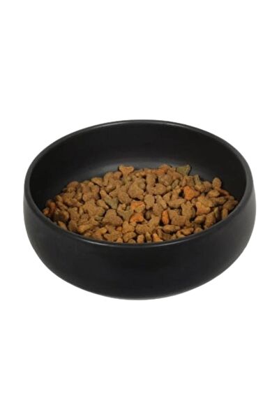 Beige & Stone Köpek Mama ve Su Kapları