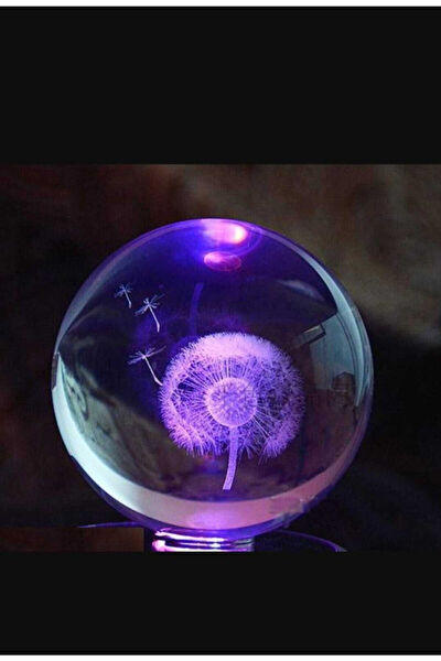 BiTon Toptan Dekoratif Obje, Biblo, Figür