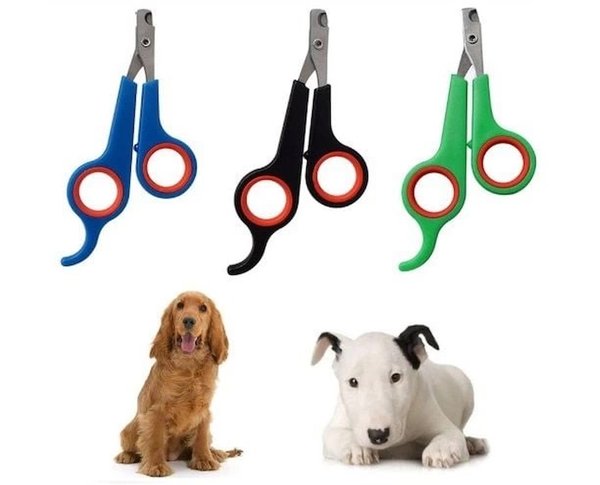 AESCO Köpek Tarak, Fırça, Makas