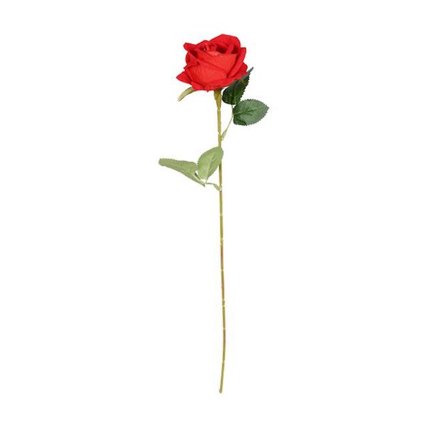 BEZOS PROFESSIONAL Kavanoz