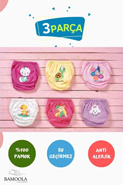 Bamoola Alıştırma Külotu