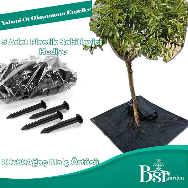 Bsr Garden Bitki Yetiştirme Kiti