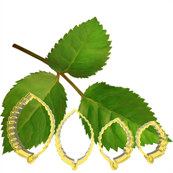 Butedo Kurabiye, Çikolata Kalıbı