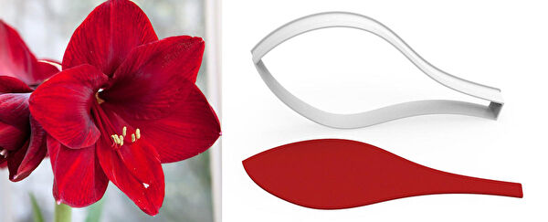 Butedo Kurabiye, Çikolata Kalıbı