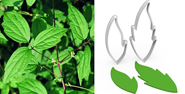 Butedo Kurabiye, Çikolata Kalıbı