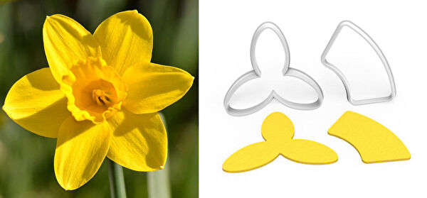 Butedo Kurabiye, Çikolata Kalıbı