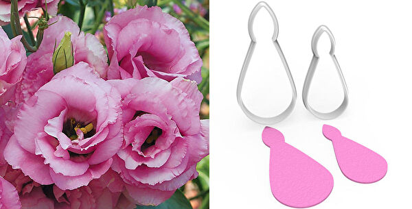 Butedo Kurabiye, Çikolata Kalıbı