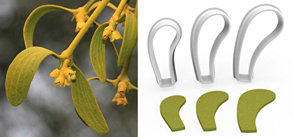 Butedo Kurabiye, Çikolata Kalıbı