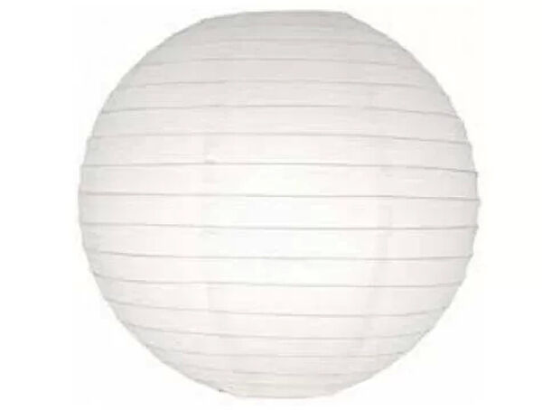 Çerçici Japon, Çin Feneri