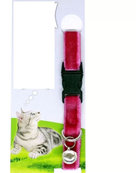 Çerçici Çıngırak