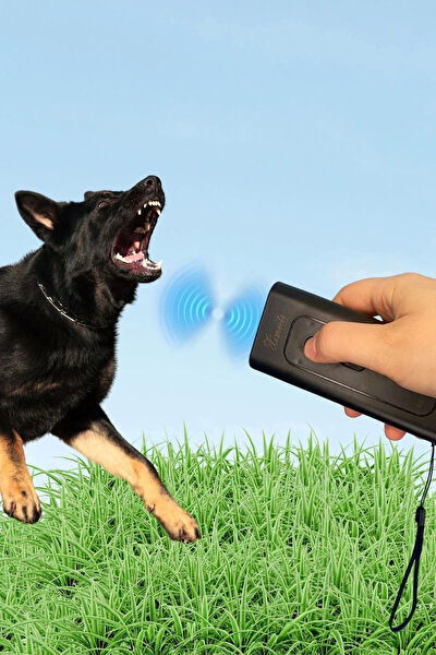 Çerçici Köpek Mama ve Su Kapları