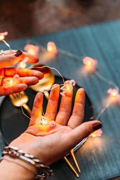 Arma House Led Ampul