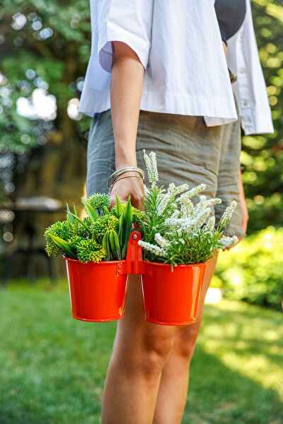 Arma House Vazo, Saksı