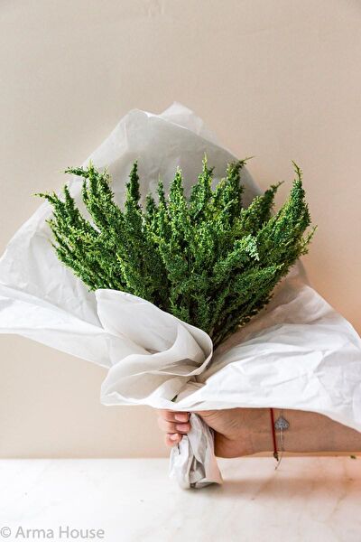 Arma House Yapay Çiçek, Meyve