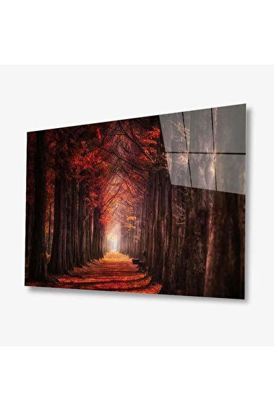 bayçağrı Cam Tablo