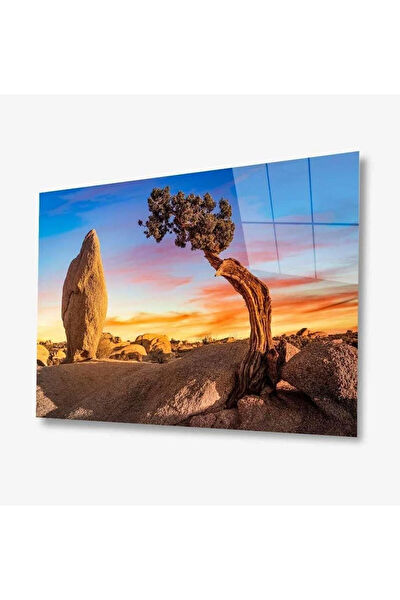 bayçağrı Cam Tablo