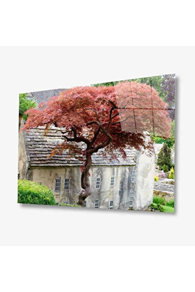 bayçağrı Cam Tablo