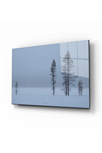 bayçağrı Cam Tablo