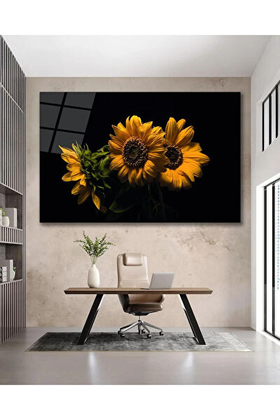 bayçağrı Cam Tablo