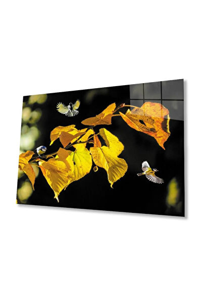 bayçağrı Cam Tablo