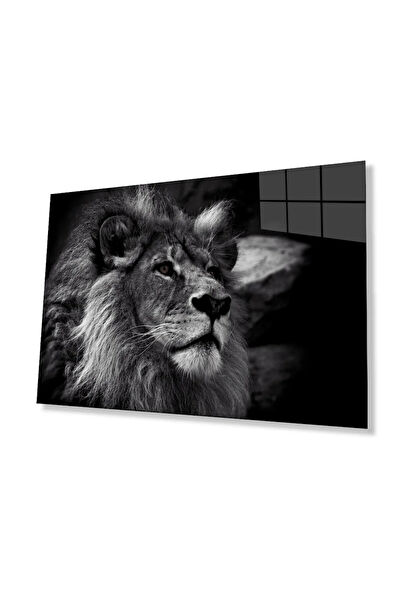 bayçağrı Cam Tablo